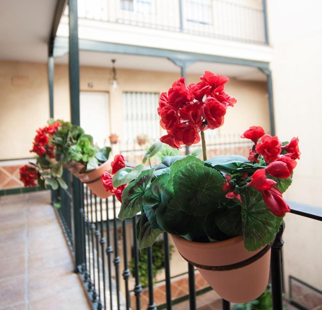 Alohamundi Rocio Appartement *